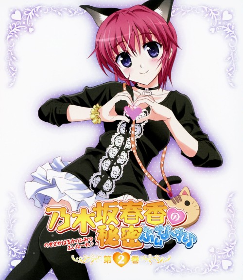 乃木坂春香の秘密 ふぃな～れ 第2巻/能登麻美子