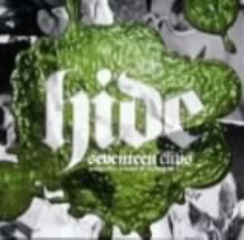 perfect clips～presented by hide MUSEUM seventeen clips/hide