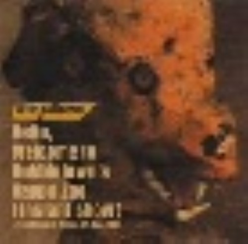 the pillows/Hello Welcome to Bubbletown s Happy Zoo/the pillows