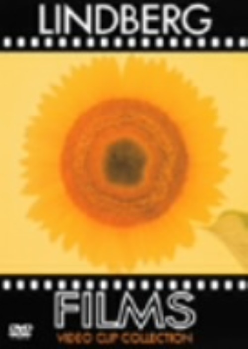 LINDBERG/FILMS DVD/LINDBERG