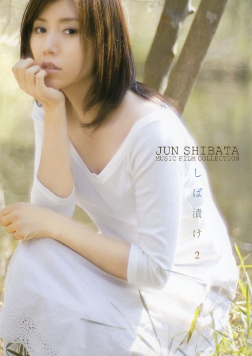 Jun Shibata Music Film Collection しば漬け 2/柴田淳【買取