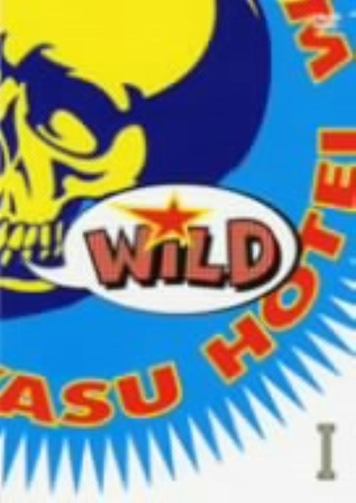 布袋寅泰/GUITARHYTHM WILD Ⅰ/布袋寅泰