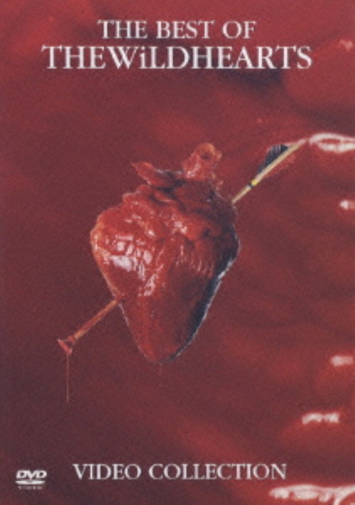 ザ・ベスト・オブ・ワイルドハーツ/ワイルドハーツ