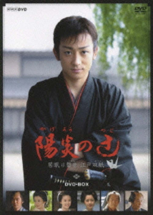 陽炎の辻 居眠り磐音 江戸双紙 DVD-BOX/山本耕史
