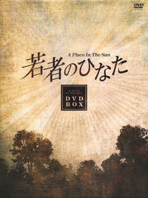 若者のひなた コンプリートBOX/ペ・ヨンジュン