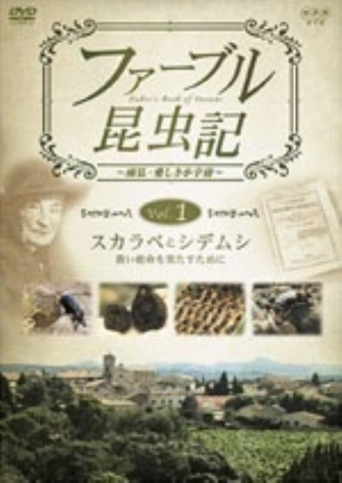 ファーブル昆虫記 スカラベとシデムシ 貴い使命を果たすために