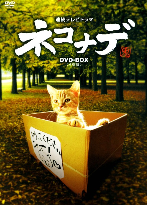 連続テレビドラマ ネコナデ DVD-BOX/小木茂光
