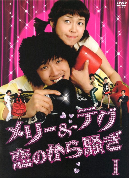 メリー&テグ 恋のから騒ぎ DVD-BOX 1/チ・ヒョヌ