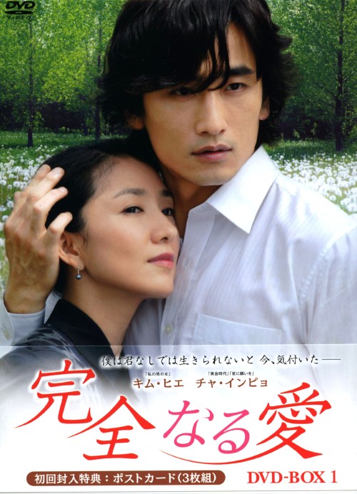 完全なる愛 DVD-BOX 1/キム・ヒエ