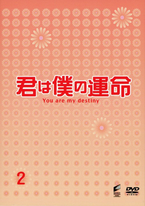 君は僕の運命 DVD-BOX 2/ユナ
