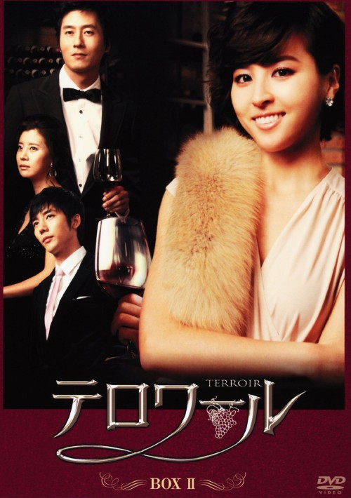 テロワール ディレクターズ・カット版 BOX Ⅱ/ハン・ヘジン