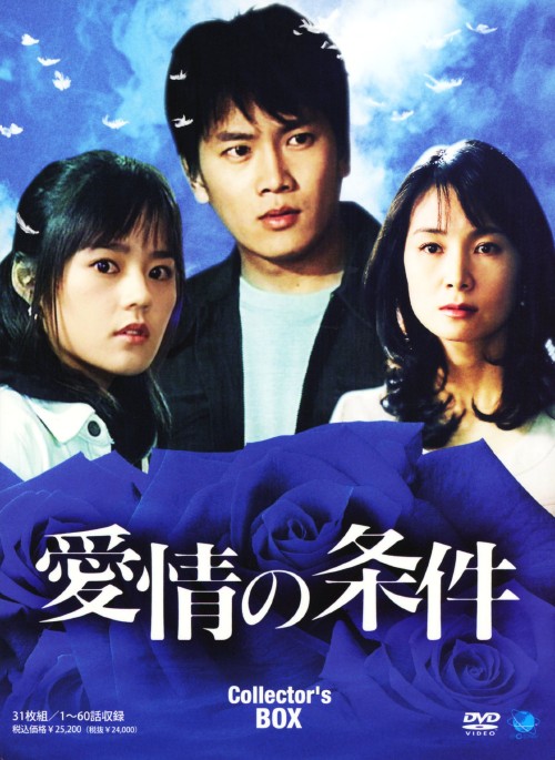 愛情の条件 コレクターズBOX/ハン・ガイン