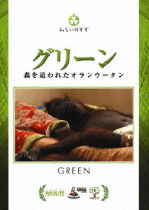 グリーン 森を追われたオランウータン
