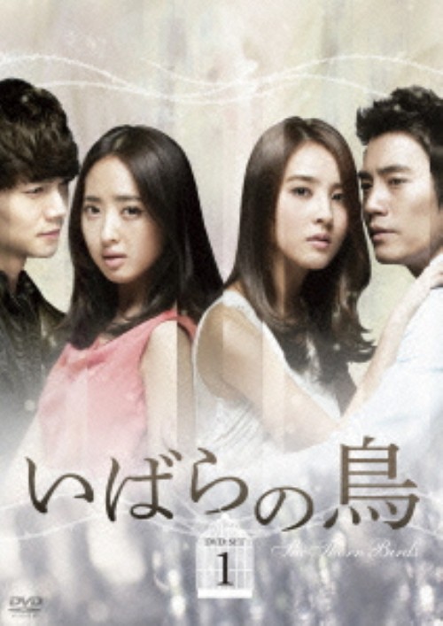 いばらの鳥 DVD-SET 1/ハン・ヘジン