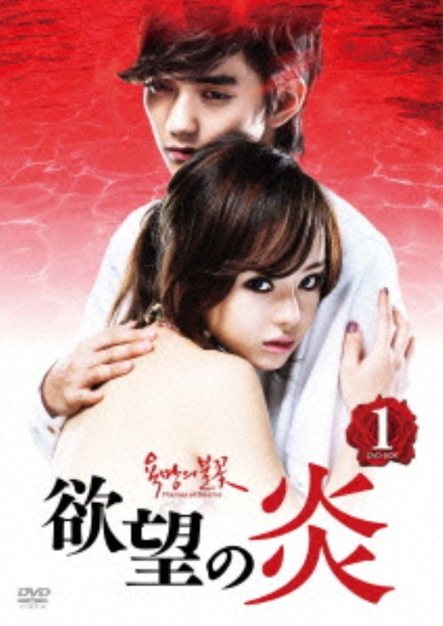欲望の炎 DVD-BOX 1/シン・ウンギョン