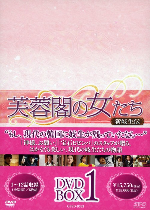 芙蓉閣の女たち～新妓生伝 DVD-BOX 1/イム・スヒャン