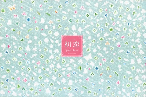 【希少】ぺ・ヨンジュン主演★　初恋　DVDBOX1,2 Amazon.co.jp: 初恋 コンプリート DVD-BOX : チェ・スジョン, ペ