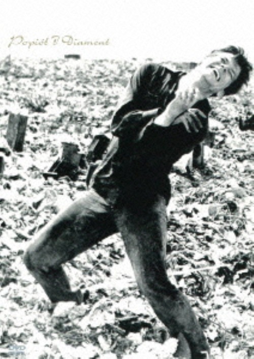 灰とダイヤモンド/ズビグニエフ・チブルスキー