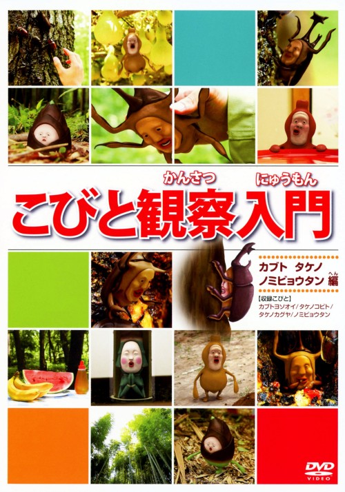 こびと観察入門 カブト タケノ ノミビョウタン編