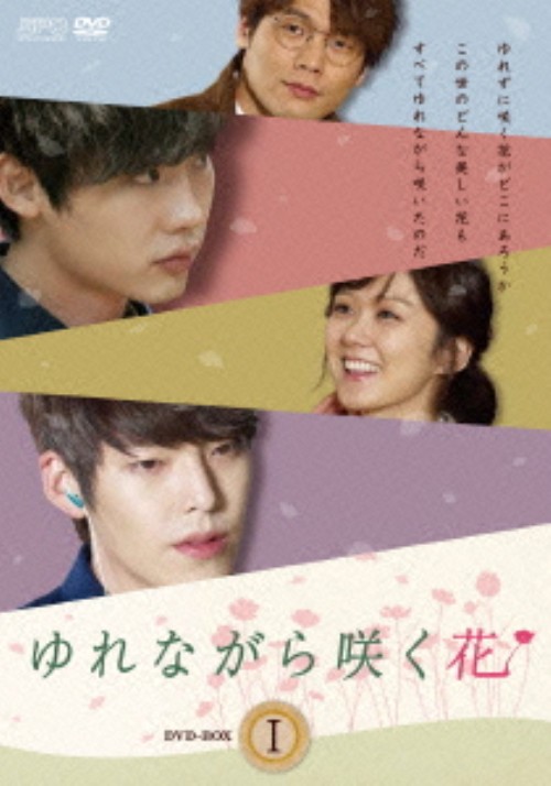 ゆれながら咲く花 DVD-BOX 1/チャン・ナラ