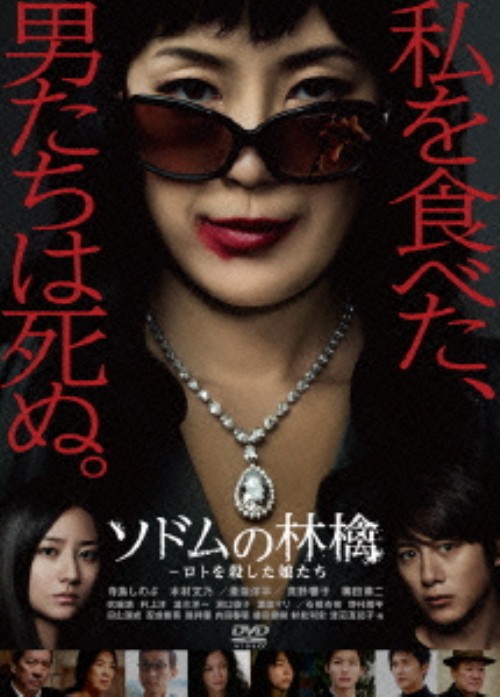 ソドムの林檎~ロトを殺した娘たち DVDコレクターズBOX/寺島しのぶ