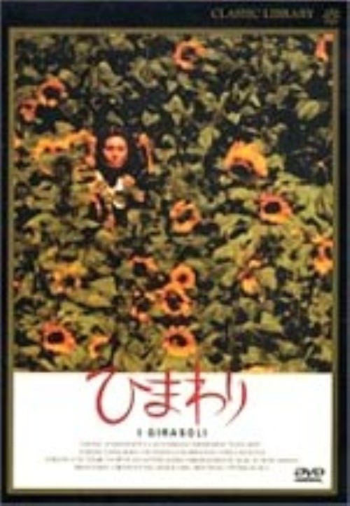 ひまわり (1970)/ソフィア・ローレン