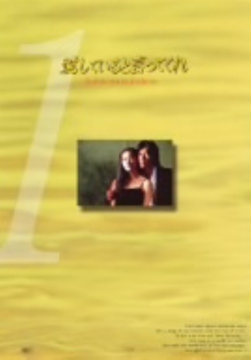 愛していると言ってくれ 1/豊川悦司
