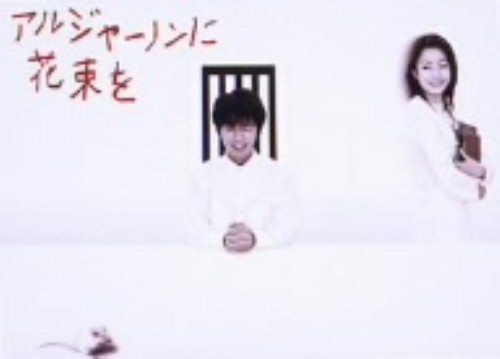 アルジャーノンに花束を (2002) BOX/ユースケ・サンタマリア