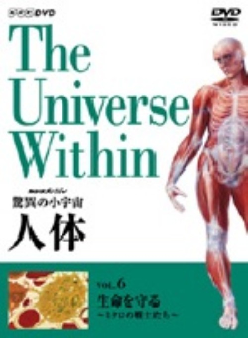NHKスペシャル 驚異の小宇宙 人体 免疫