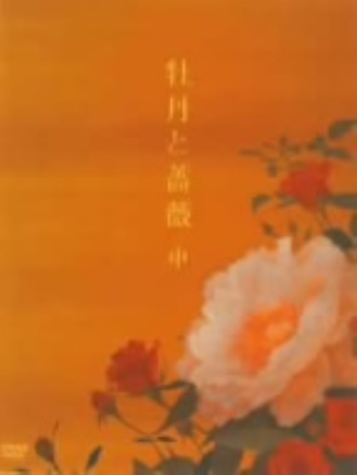 牡丹と薔薇 DVD-BOX 中/大河内奈々子