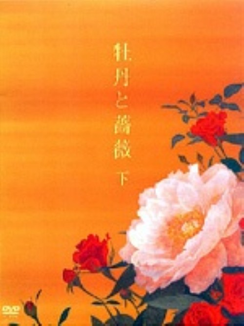 牡丹と薔薇 DVD-BOX 下/大河内奈々子