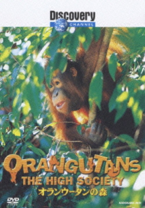 ディスカバリーチャンネル WE LOVE NATURE! オランウータンの森