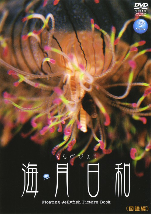 海月日和 図鑑編