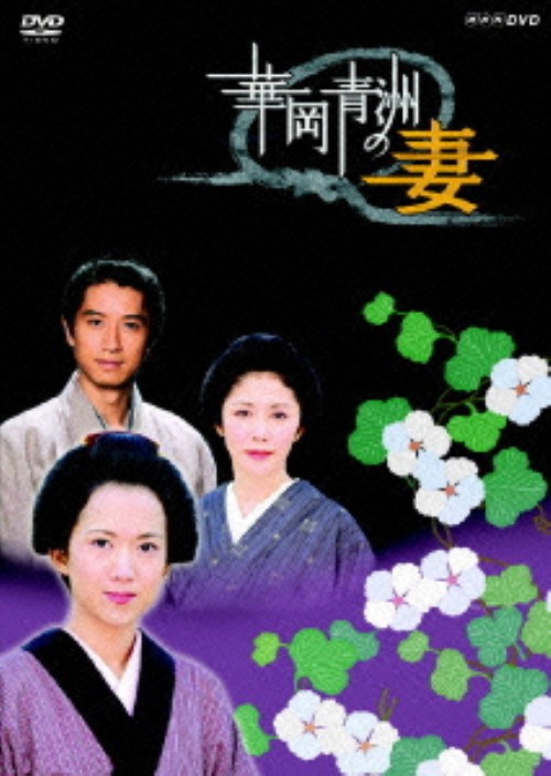 華岡青洲の妻 (2005)/和久井映見