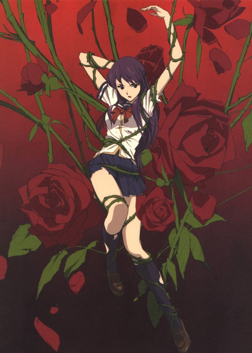 屍姫 赫 第4巻 <初回限定版>/秋山奈々