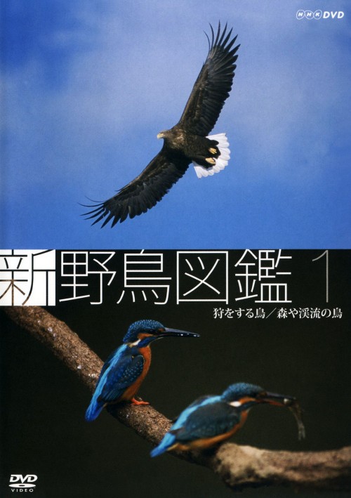 新 野鳥図鑑 第1集 狩りをする鳥/森や渓流の鳥