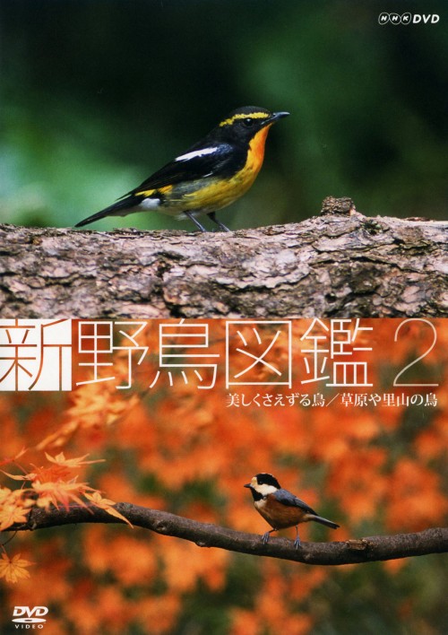 新 野鳥図鑑 第2集 美しくさえずる鳥/草原や里山の鳥