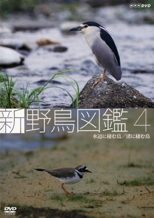 新 野鳥図鑑 第4集 水辺に棲む鳥/渚に棲む鳥