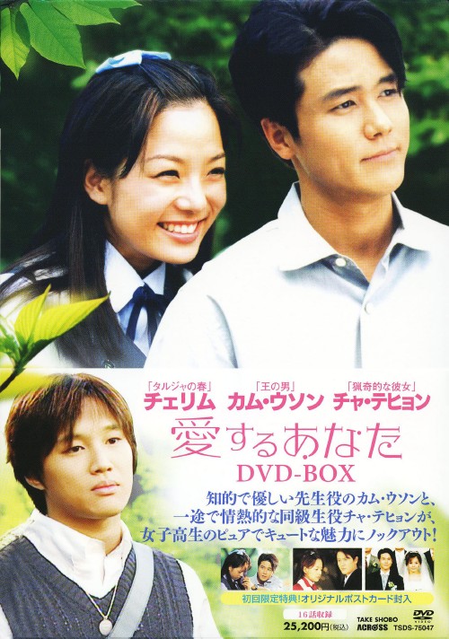 愛するあなた DVD-BOX/カム・ウソン