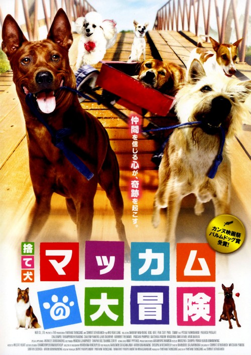 捨て犬マッカムの大冒険