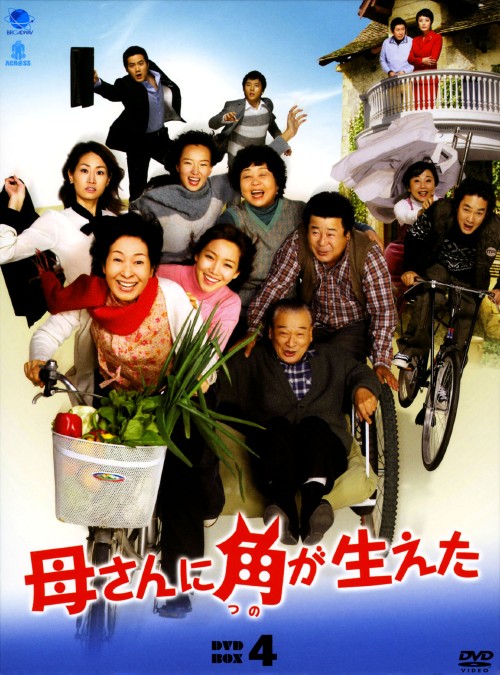 母さんに角が生えた DVD-BOX 4/シン・ウンギョン