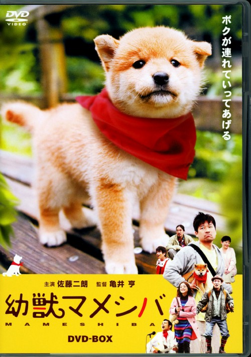 幼獣マメシバ BOX/佐藤二朗