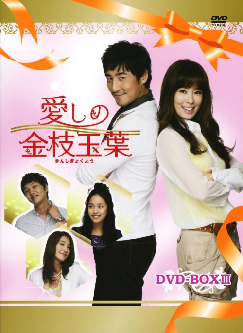 愛しの金枝玉葉(きんしぎょくよう) DVD-BOX Ⅲ/キム・ソンス