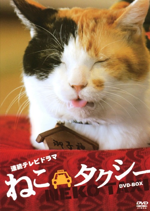 ねこタクシー DVD-BOX/カンニング竹山