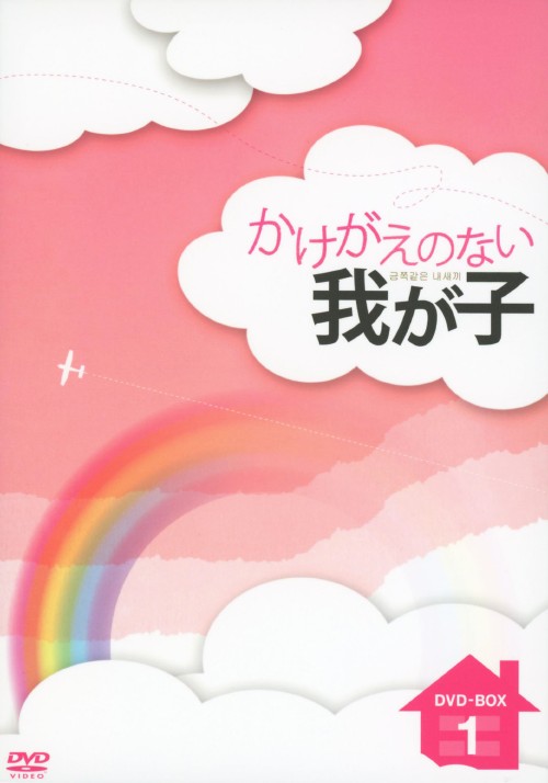 かけがえのない我が子 DVD-BOX 1/ナムグン・ミン