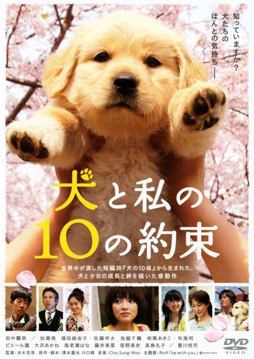 犬と私の10の約束 <期間限定版>/田中麗奈