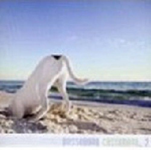 ゲオ公式通販サイト ゲオオンラインストア 中古 ２ ｂｏｓｓａｎｏｖａ ｃａｓｓａｎｏｖａ Cd