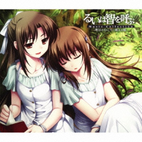 るいは智を呼ぶ Music Collection 明日のむこうに視える風 ゲームミュージック 買取価格 ゲオ宅配買取