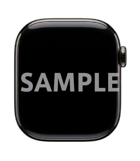 バンド無 Apple Watch Series10 46mm GPS+Cellularモデル[チタニウム/スレート]